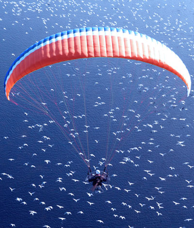 Paramotor Barcelona