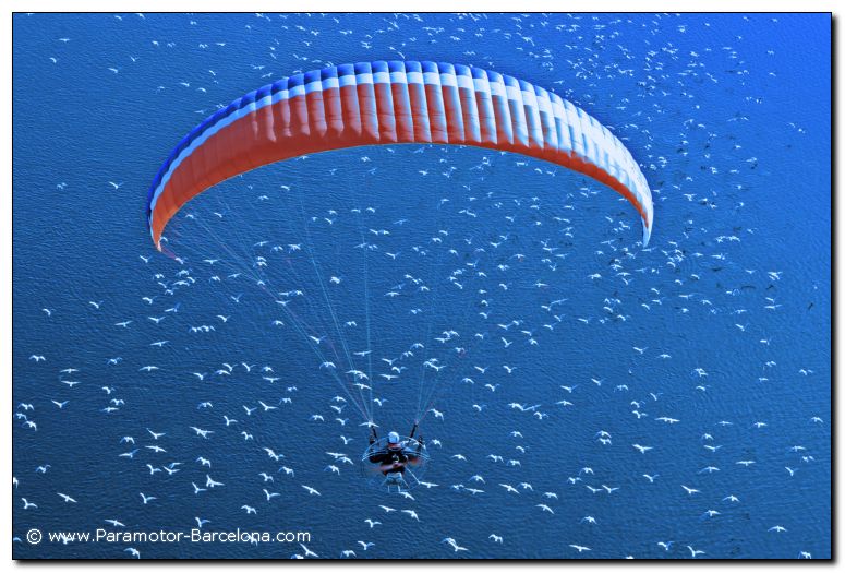 www.Paramotor-Barcelona.com